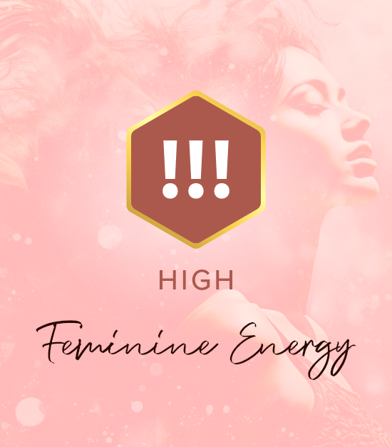 shay-high-feminine